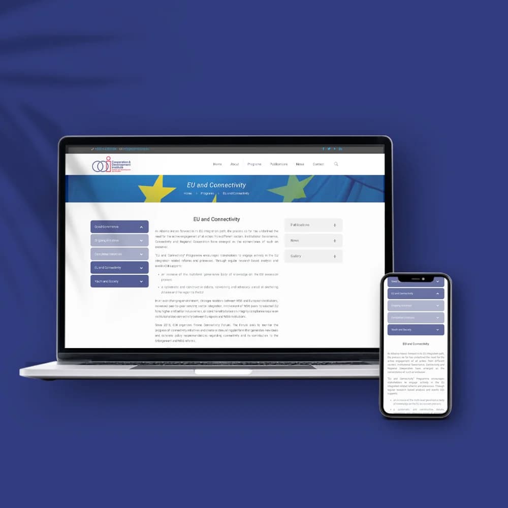 Prezantimi i projektit CDI