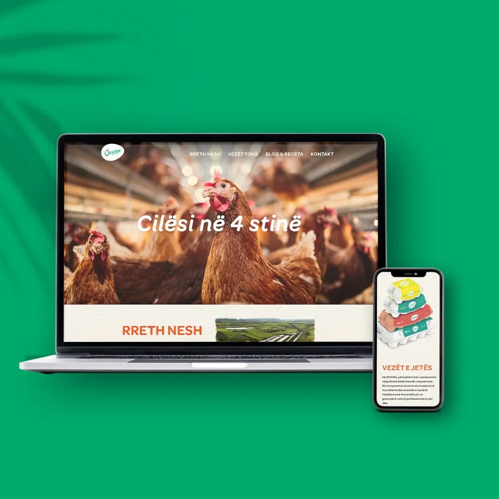 Prezantimi i projektit Ovvital